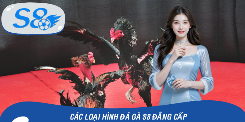 Các hình thức đấu kê đỉnh cao tại nền tảng