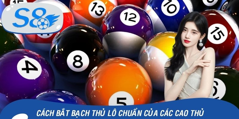 Cách bắt bạch thủ lô chuẩn của các cao thủ thường dùng