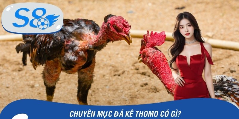 Chia sẻ những điều hội viên tìm thấy tại chuyên mục đá kê