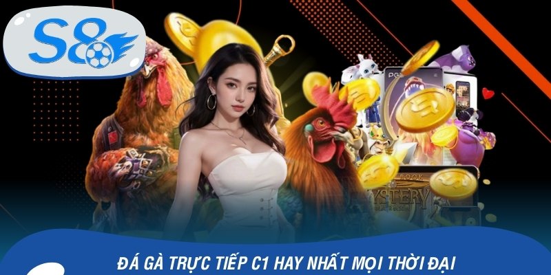 Đá gà trực tiếp C1 hay nhất mọi thời đại