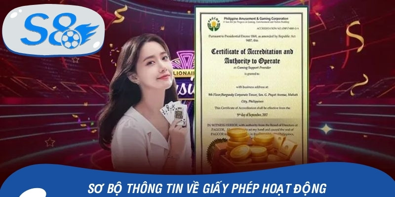 Sơ bộ thông tin về giấy phép hoạt động